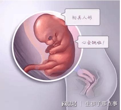 冷冻储存